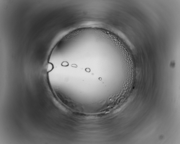 X0000102791421200808181249