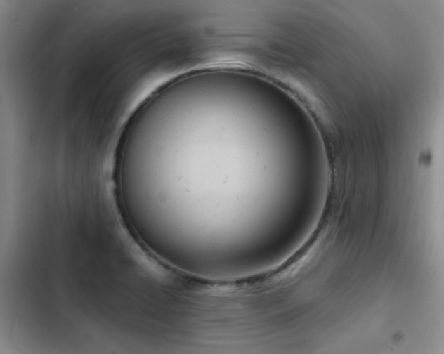 X0000102791422200808181249