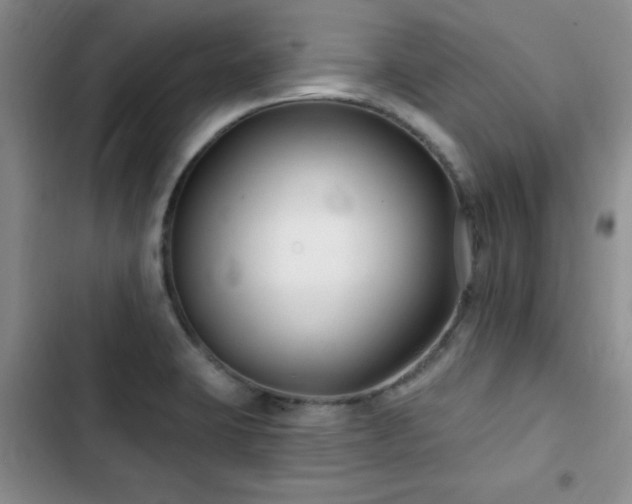 X0000102791423200808181249