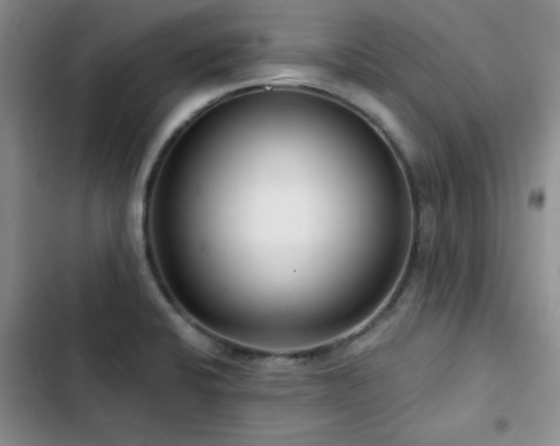 X0000102791424200808181249
