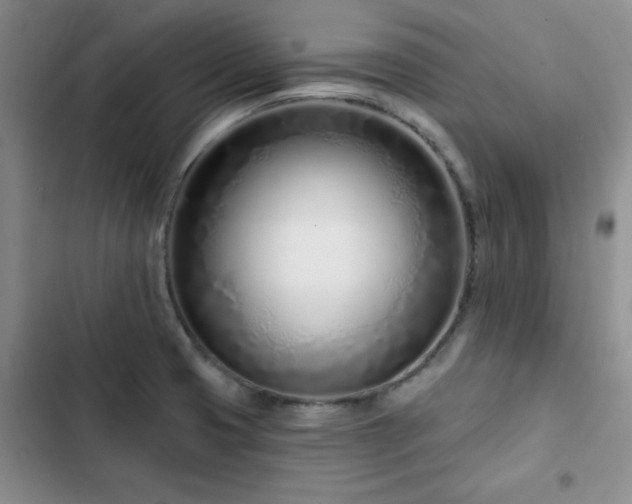 X0000102791425200808181249