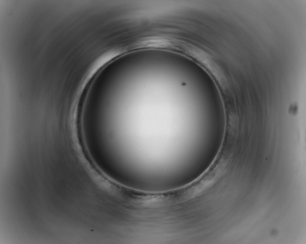 X0000102791426200808181249
