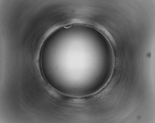X0000102791427200808181249