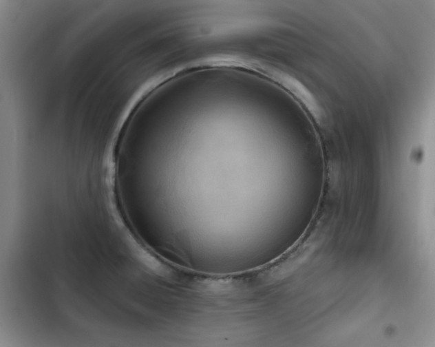 X0000102791428200808181249