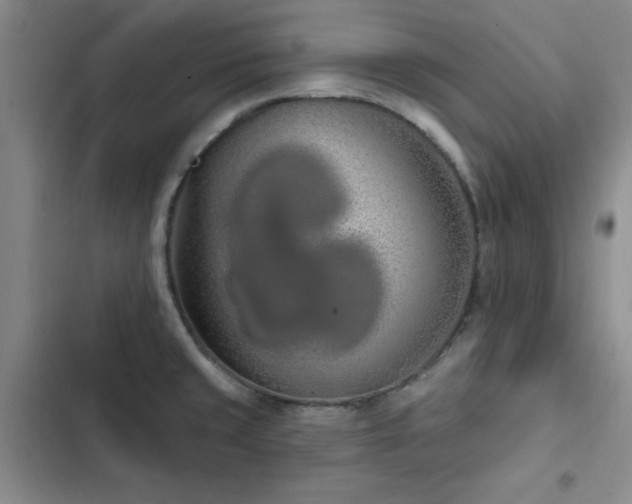 X0000102791429200808181249