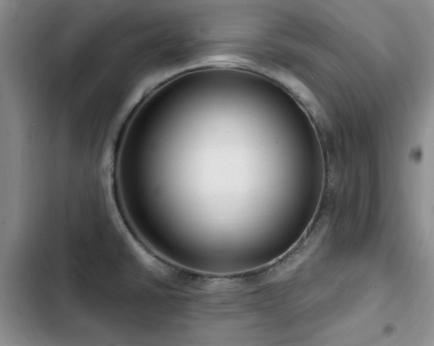 X0000102791430200808181249