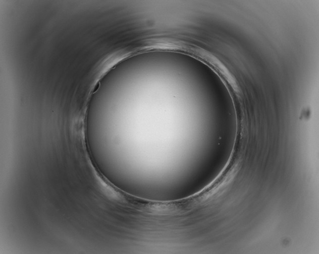 X0000102791433200808181249