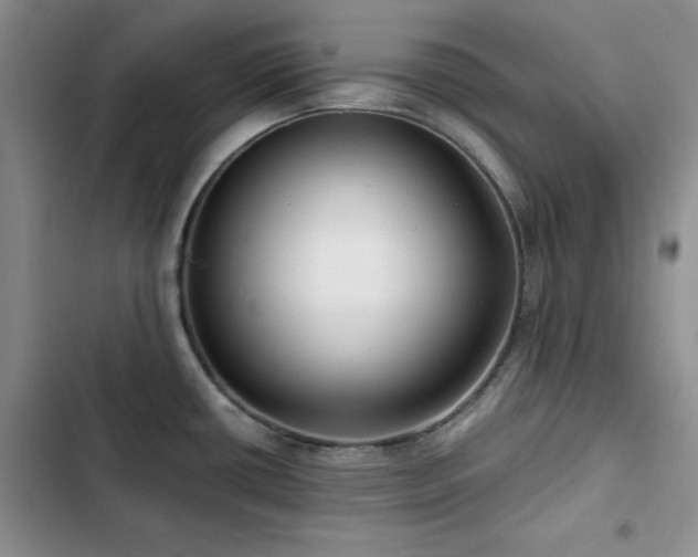 X0000102791434200808181249