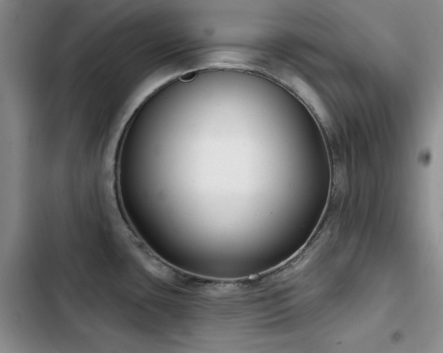 X0000102791435200808181249