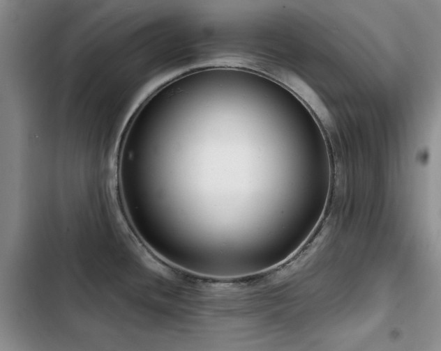X0000102791436200808181249