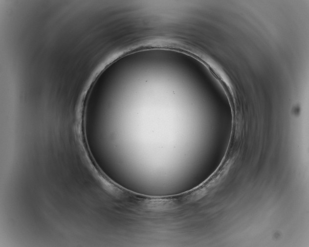X0000102791437200808181249