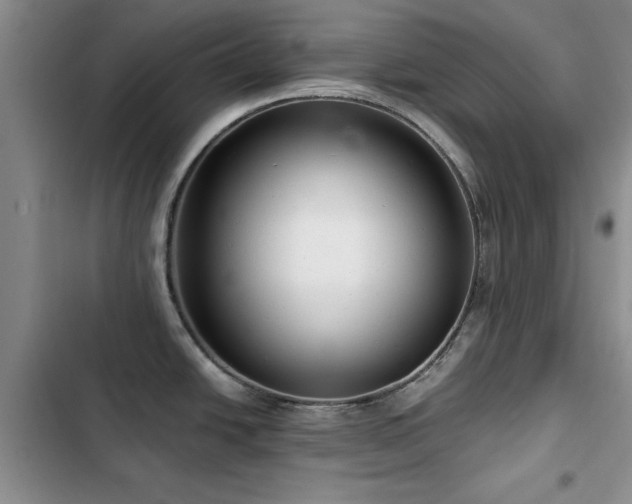 X0000102791438200808181249