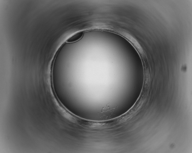 X0000102791439200808181249