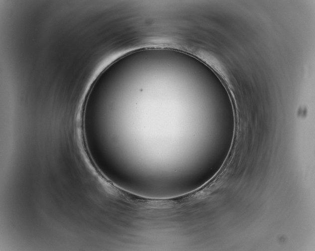 X0000102791440200808181249