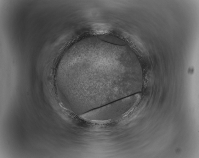X0000102791441200808181248