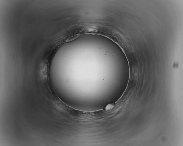 X0000102791442200808181248