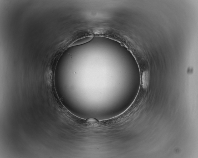X0000102791443200808181248