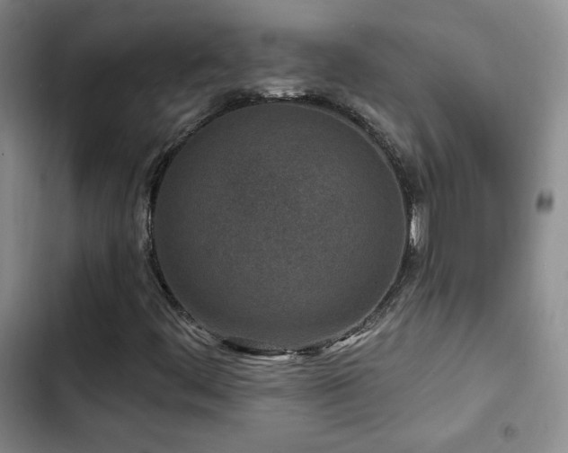 X0000102791444200808181248