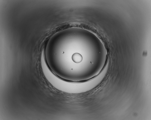 X0000102791445200808181248