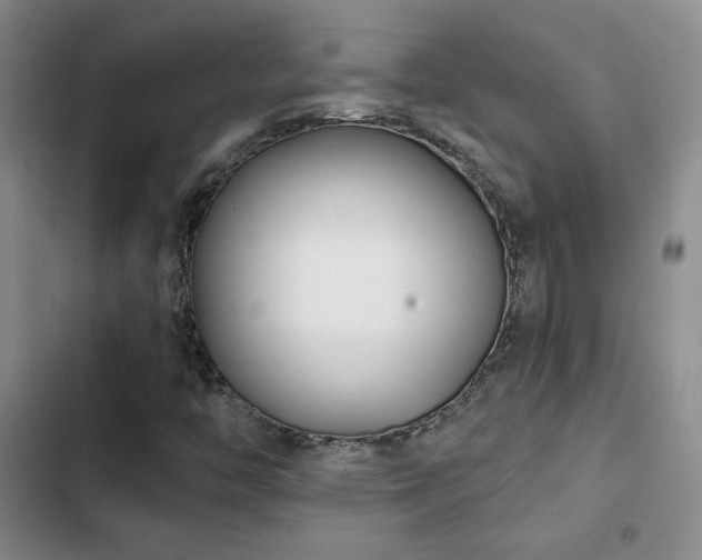 X0000102791446200808181248