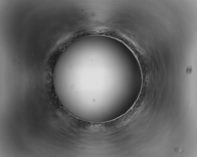 X0000102791447200808181248