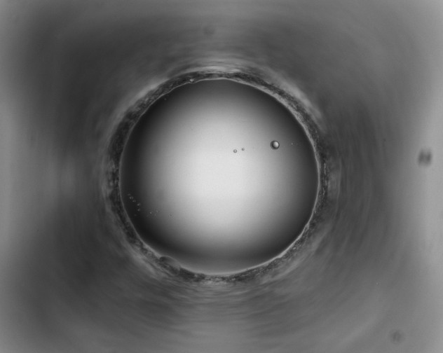 X0000102791448200808181248