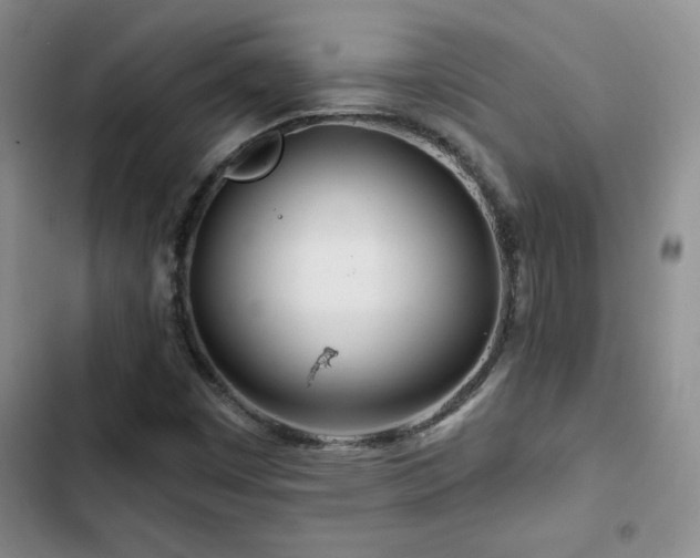 X0000102791449200808181248