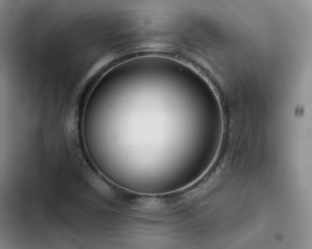 X0000102791450200808181248