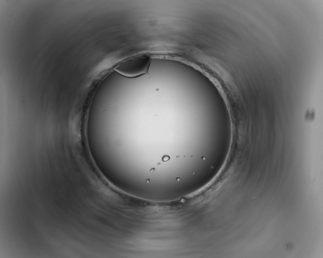 X0000102791451200808181248