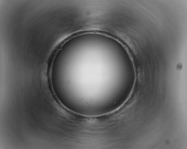 X0000102791452200808181248