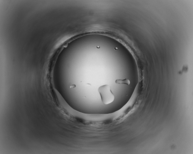 X0000102791453200808181248