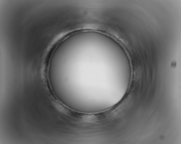 X0000102791454200808181248