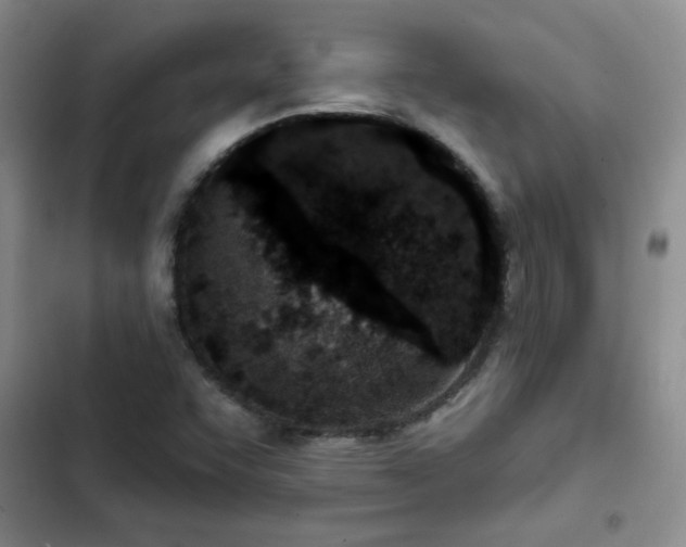 X0000102791455200808181248