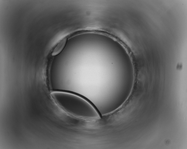 X0000102791456200808181248