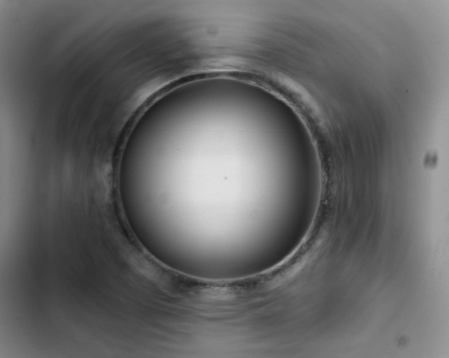 X0000102791457200808181248
