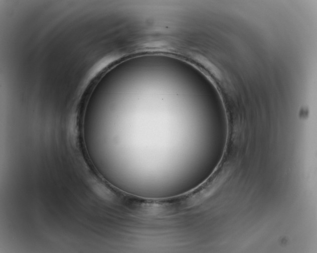 X0000102791458200808181248