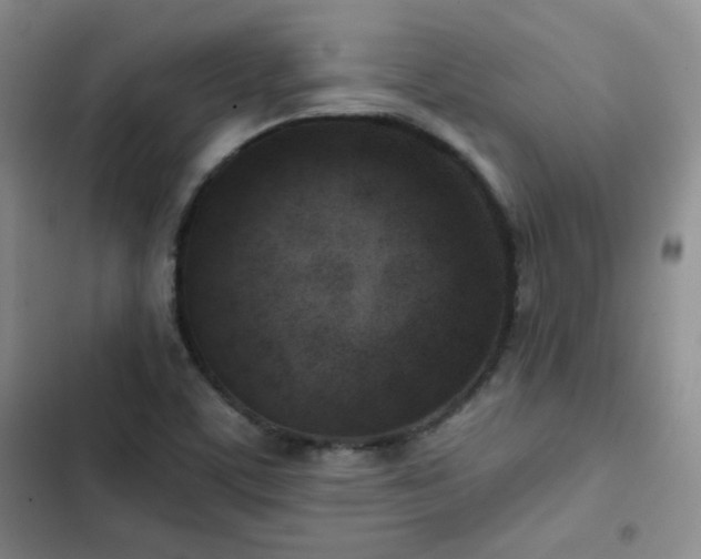X0000102791459200808181248