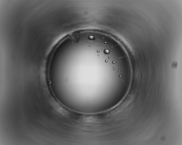 X0000102791460200808181248