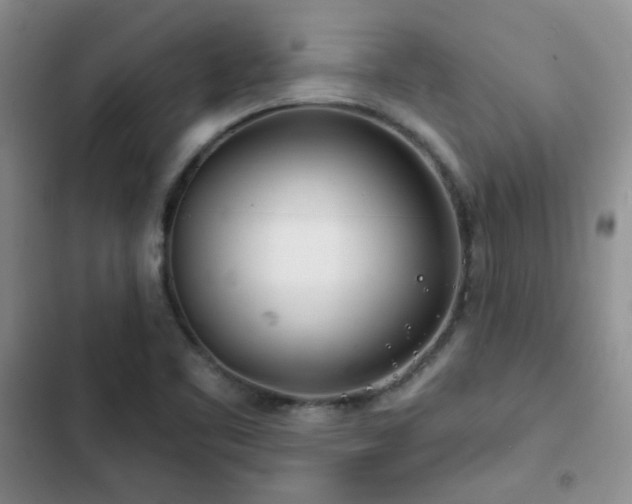 X0000102791461200808181248