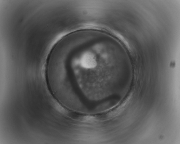 X0000102791463200808181248