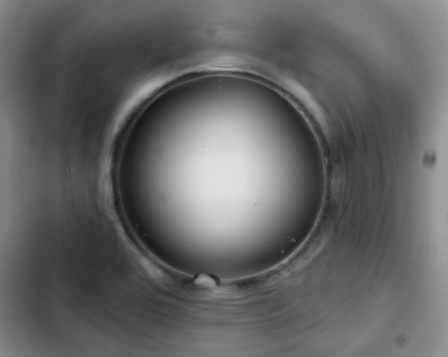 X0000102791464200808181248
