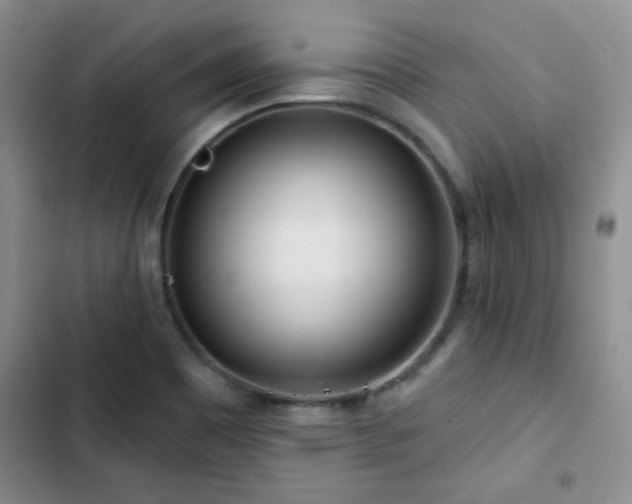 X0000102791465200808181248