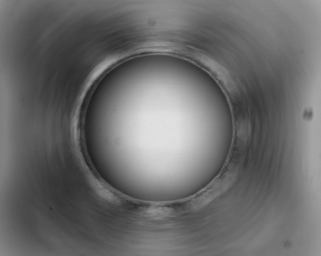 X0000102791466200808181248