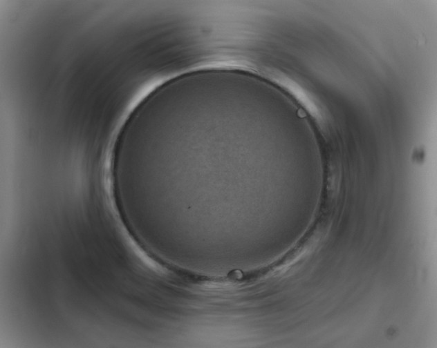 X0000102791468200808181248