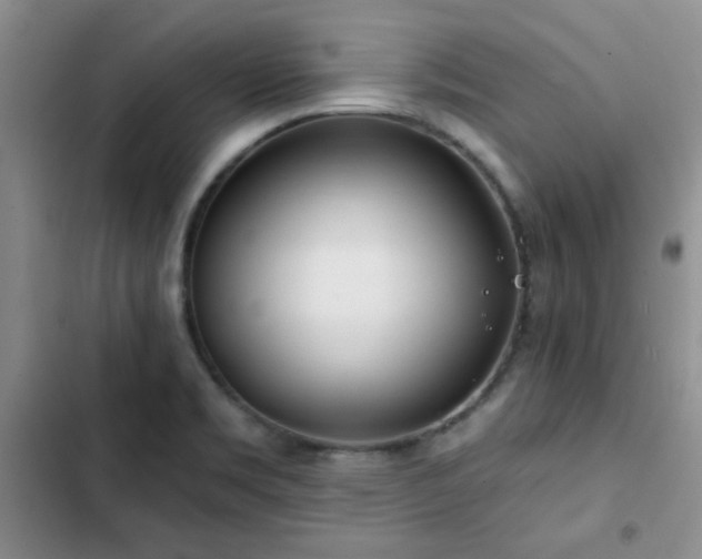 X0000102791469200808181248