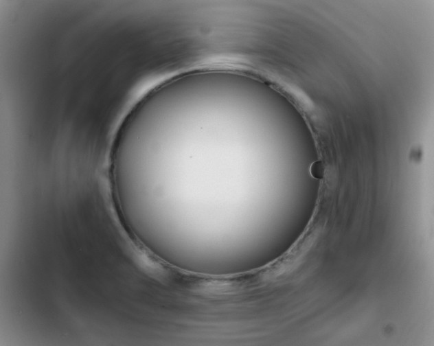 X0000102791470200808181248