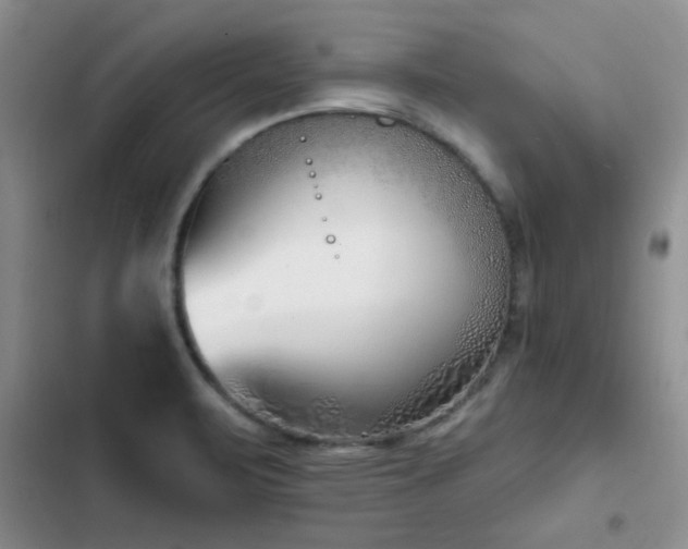 X0000102791471200808181248
