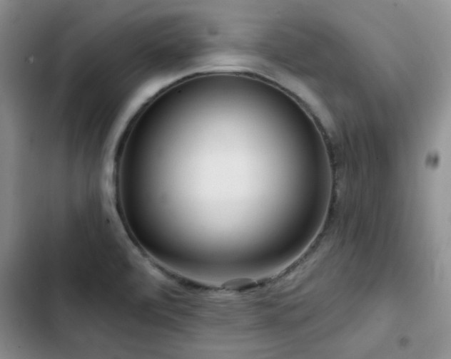 X0000102791472200808181248