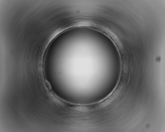 X0000102791473200808181248