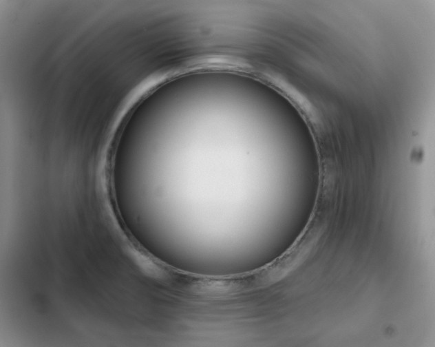 X0000102791474200808181248